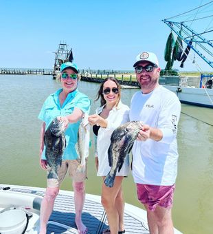 Black Drum and Trout Caught in Galveston Bay